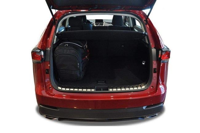 Borse per bagagliaio LEXUS NX 2014-2021 4 pezzi KJUST