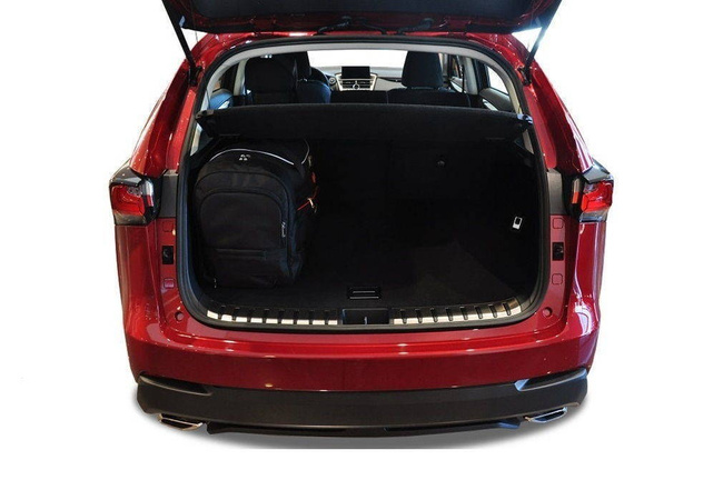 Borse per bagagliaio LEXUS NX 2014-2021 4 pezzi KJUST