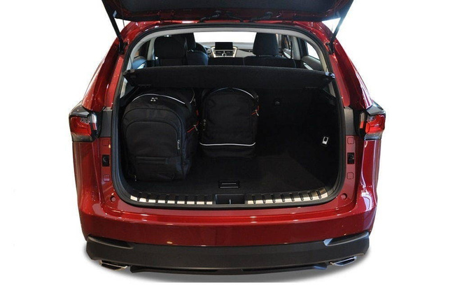 Borse per bagagliaio LEXUS NX 2014-2021 4 pezzi KJUST